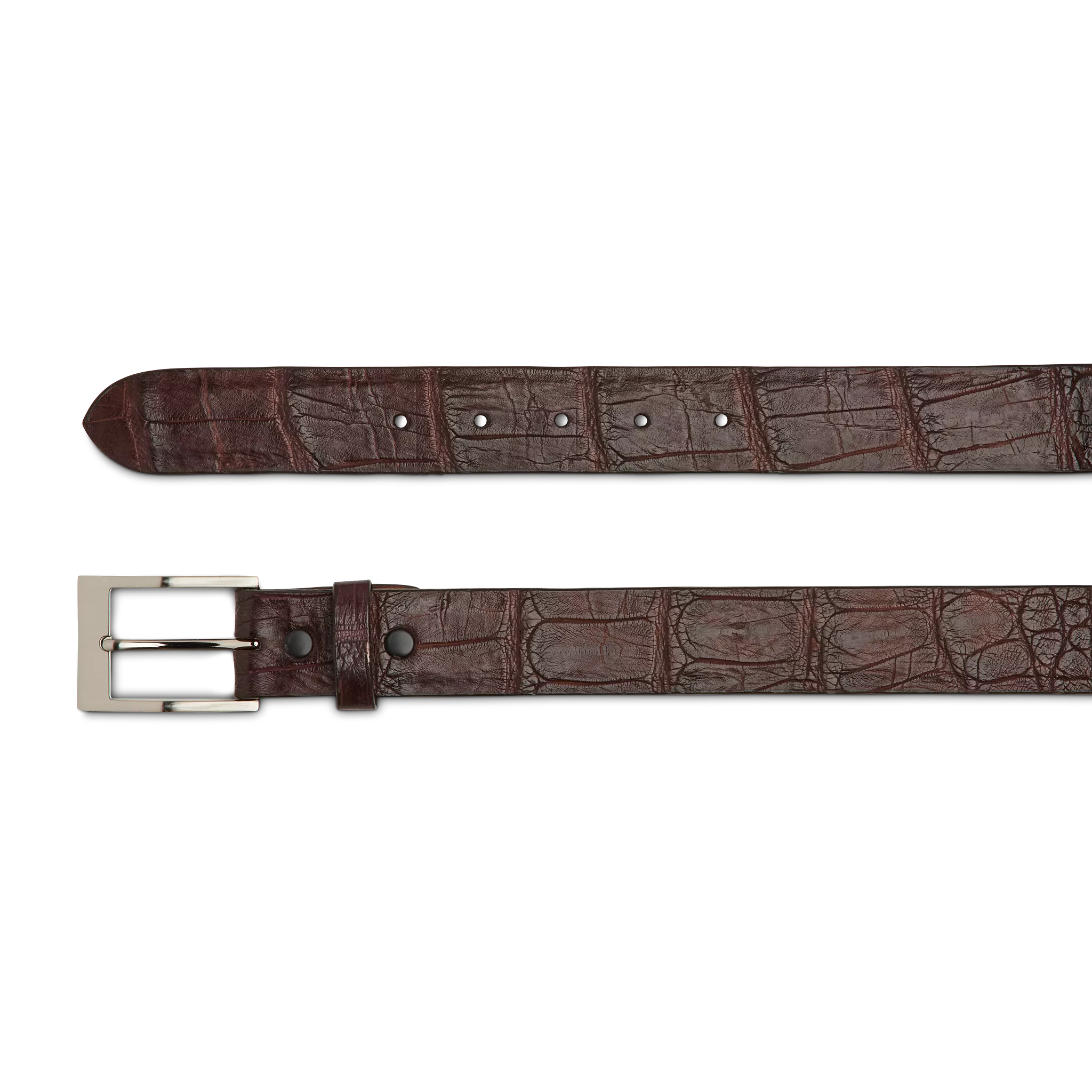 Exotic Dress Belt :: Brown